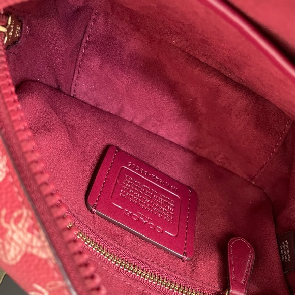 Lunar New Year Camera Bag 16 with Horse And Carriage Print and Varsity Stripe. - Picture 15 of 16